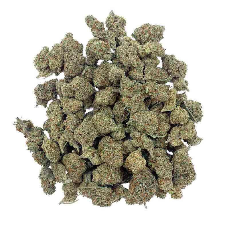 Amnesia Haze CBD - Medium Bud - Indoor-Hydro | Marina CBD