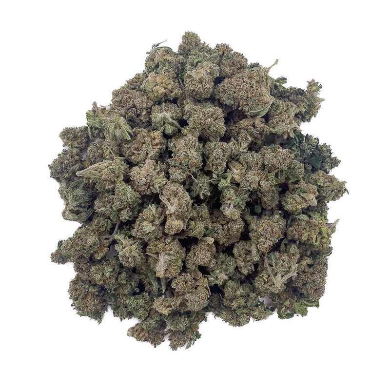 Critical+ 2.0 CBD - Medium Bud - Indoor-Hydro | Marina CBD