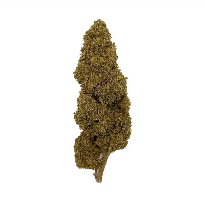Jack Herer CBD - Green-House | Marina CBD