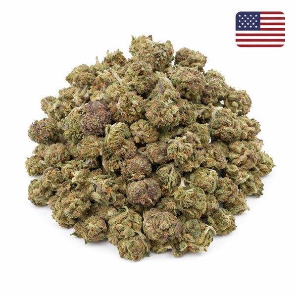 Blackberry Kush CBD - Small Bud - Glass-House Cali | Marina CBD