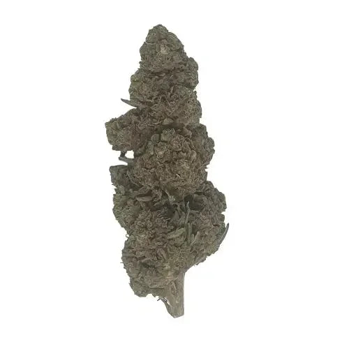 Bubba Kush CBD - Glass-House | Marina CBD