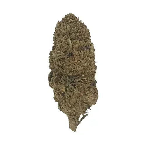 Fruit Cake CBD - Glass-House | Marina CBD