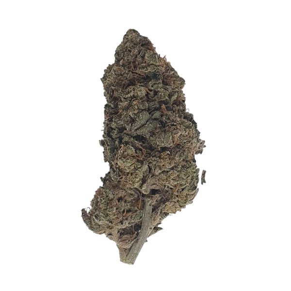 Sour Diesel CBD - Big Bud - Indoor Cali | MARINA CBD